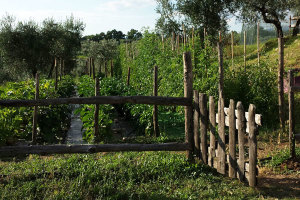 BDA_sliderCHI_SIAMO2_004