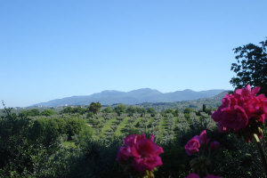 BDA_sliderCHI_SIAMO3_005