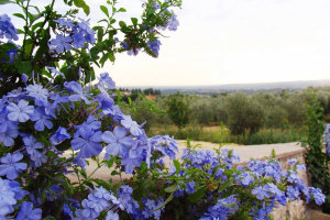 BDA_sliderCHI_SIAMO3_006